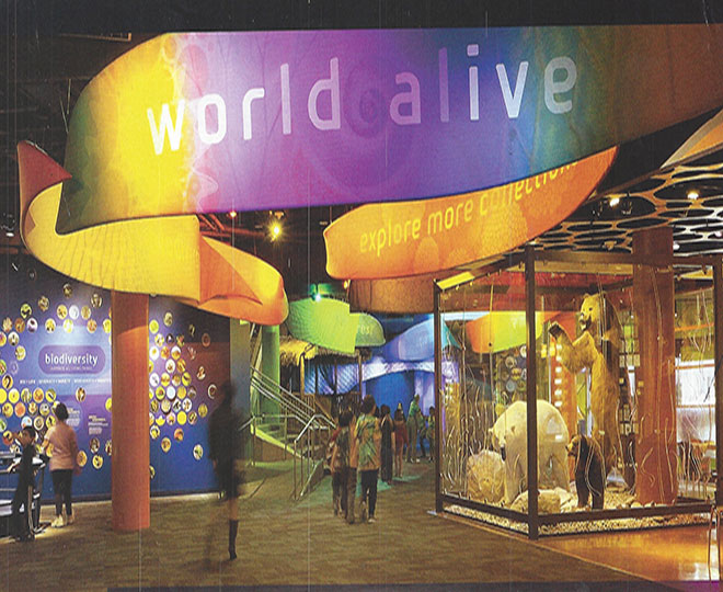 Awning from California Canvas